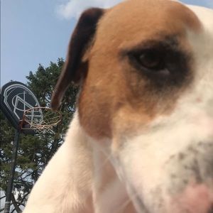 Meet your Posher, Adriana